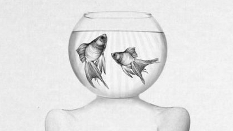 Fish Head: An Absurdist Existential Odyssey